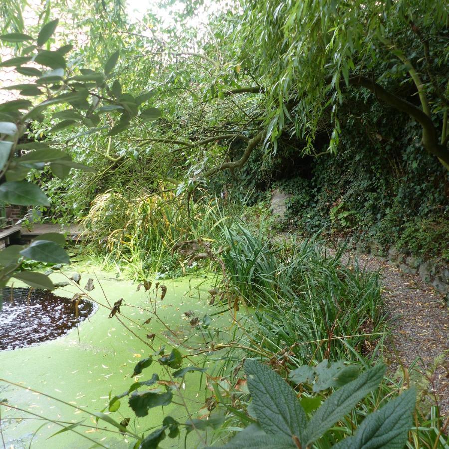B&B Aquavert Tournai Dış mekan fotoğraf